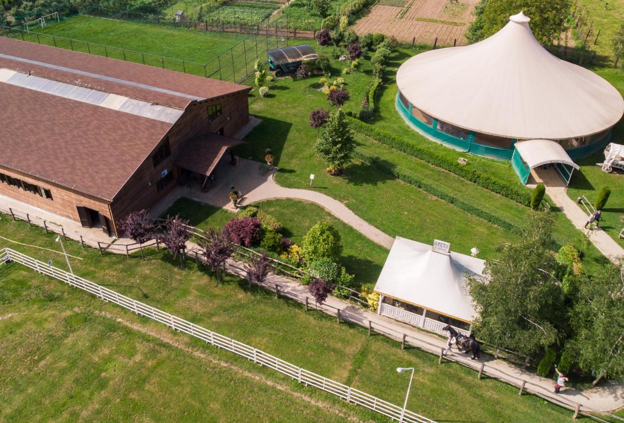 Отель Domeniul Dracula Данеш Экстерьер фото